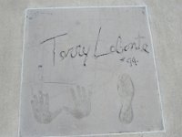 Tail of he Dragon July 2015 764 : Tail of he Dragon July 2015